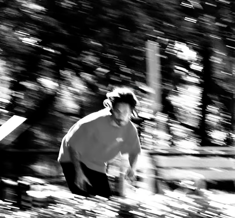 Matheus Dubronks Blazer: Every Day Skate Shoes