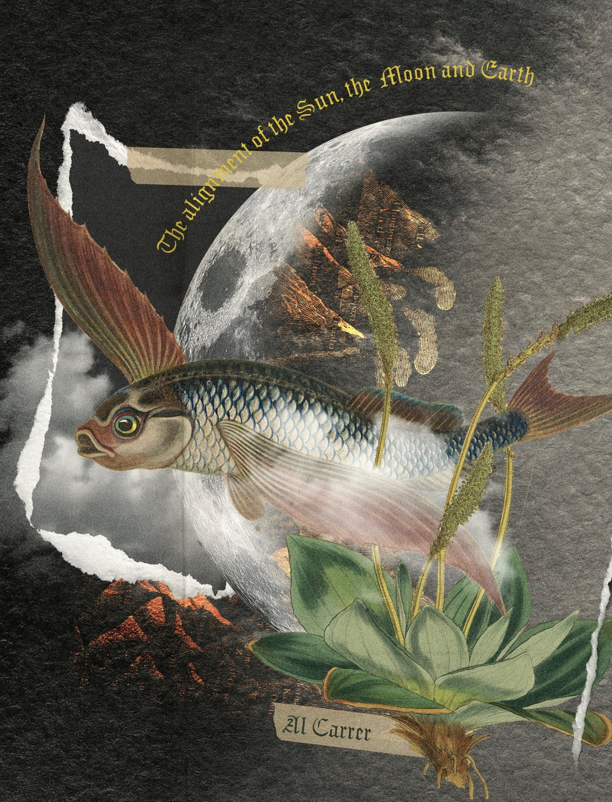 Al Carrer - New Moon Deck